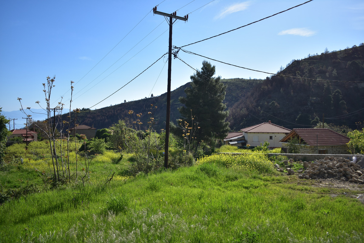 Ευρωστίνη (5)