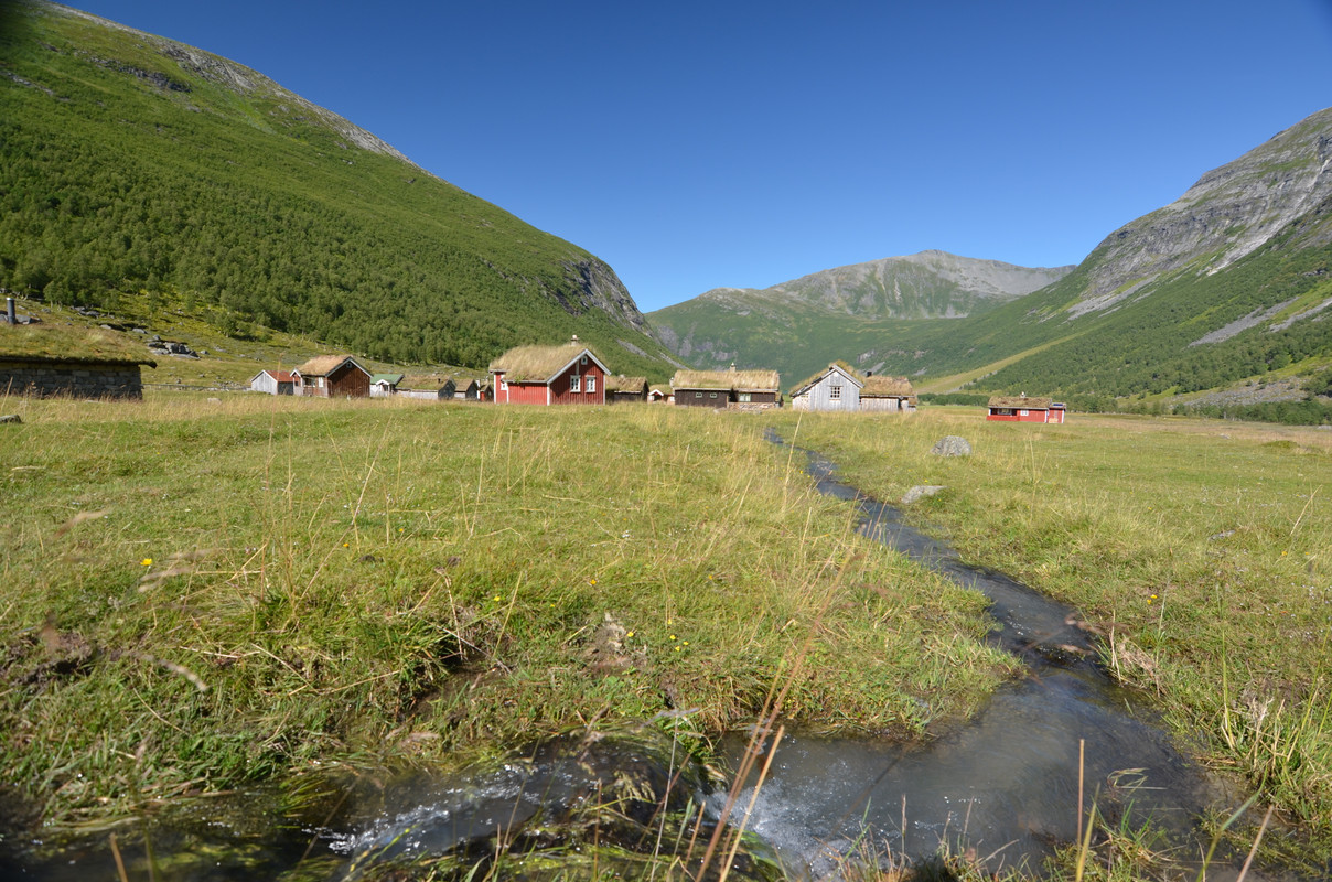 Noruega 10 días de cabañas y con niños - Blogs de Noruega - ETAPA 3- Geiranger- Granja de Herdalssetra (7)