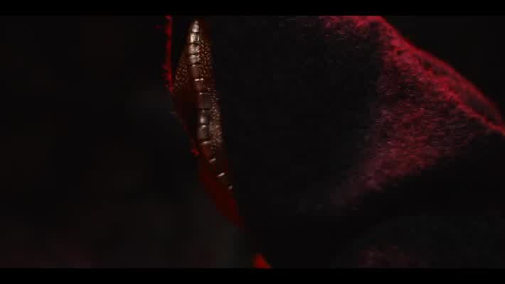 [Image: o0yo53tb9dwc.jpg]