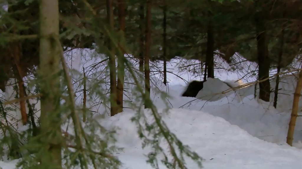 [Image: yhh8h67f3omr.jpg]