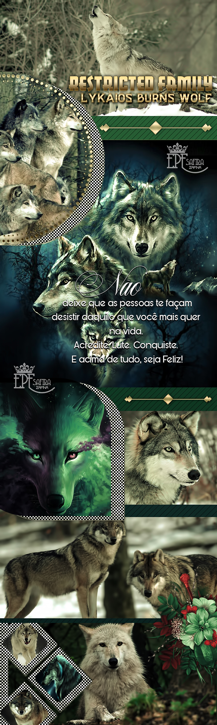 Restricted-Family-ABOUT-EPFSAFIRA.jpg
