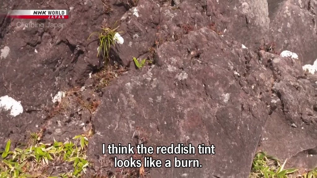 [Image: 3kwwtm4i0j8v.jpg]