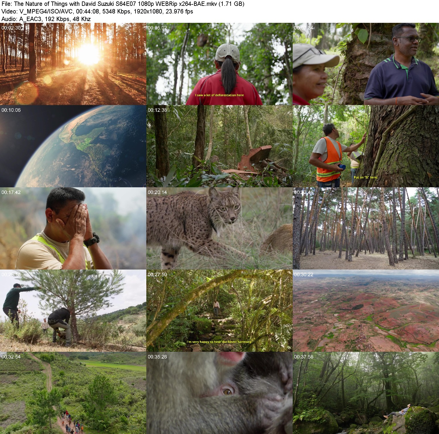 [Image: 1ck4o9zv8xtg.jpg]