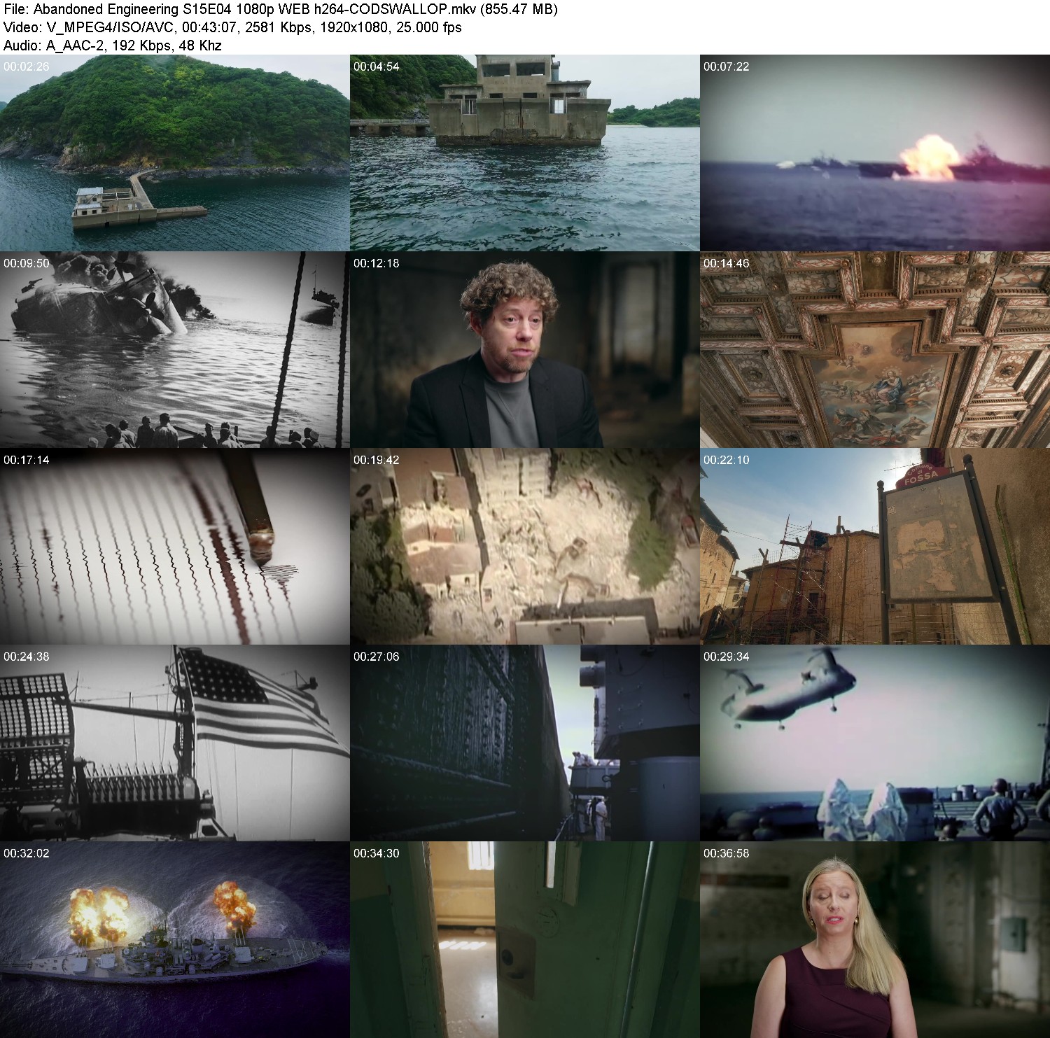 [Image: 8yw2gqfjjk89.jpg]