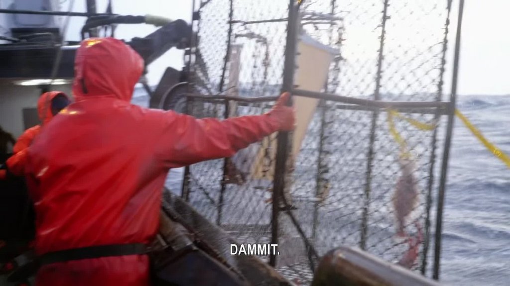 [Image: 1zvt8nv73xqy.jpg]