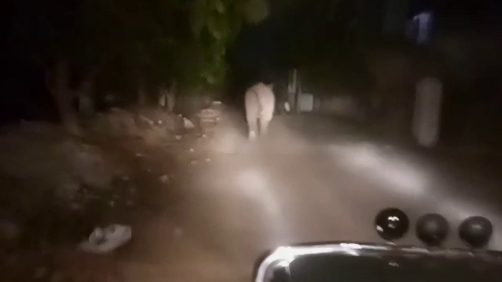 [Image: r6vdn98kiz4p.png]