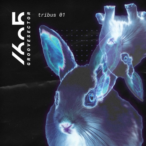 VA - Tribus 01 (2026) MP3