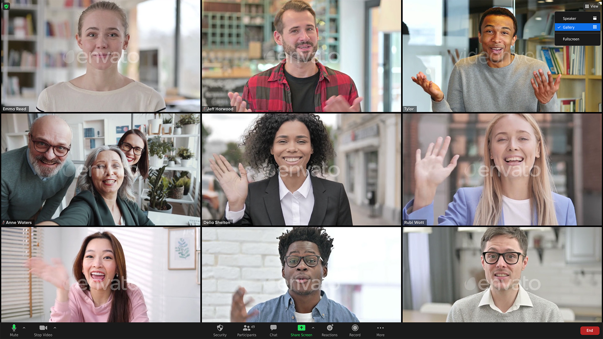Zoom Views: Online Video Conference Toolkit - 14