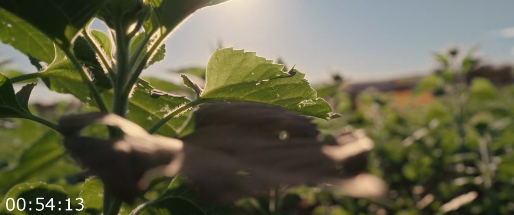 [Image: x19f5ktsoq7g.png]