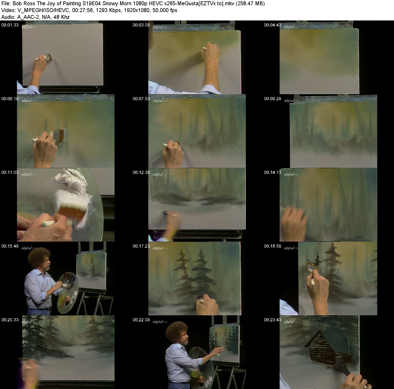 [Image: tekx9mlj779c.jpg]