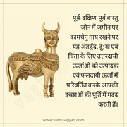 259491087_203813501937642_7770605196046593241_n