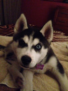 20840847_1720365181602540_5251880668674842000_n