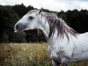 dclgd5q-e4f9e209-2b63-48d5-9789-c7c683dc6c4c