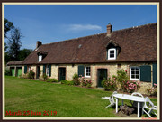 DSC01401.jpg