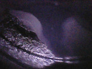 Photo_2025-06-05 23_20_43_172