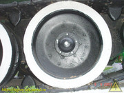 DSC00559