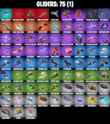 gliders-comp