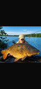 Messenger-creation-ABA1ED80-9498-4125-810A-B7BA6695A7F7