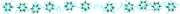 Divider-640x50