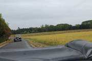 IMG-4662.jpg