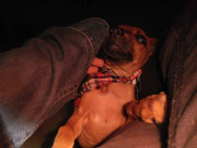 21.4.party-ready Betsy IV