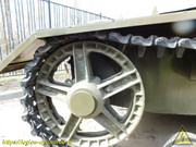 DSCN5145