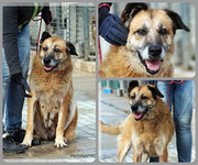 Be-Funky-collage-15.jpg&key=50c0a2354b31