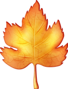 Pumpkinfairykitpudnelve2