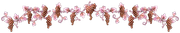 Rose-Banner