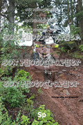 IMG-0314