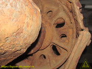 IMG-5981