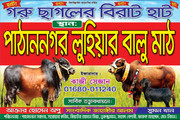 Whats-App-Image-2026-05-18-at-6-51-13-PM