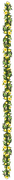 Divider-640x50-(2)