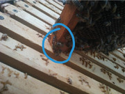 photo_2020-06-16_07-16-55