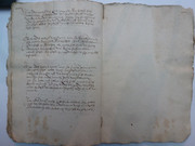 P1130391