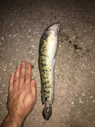 CDEC2DBE-78EA-45CA-AD32-3F1D79E3870F