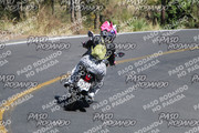 IMG-1363