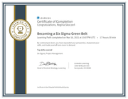 Becoming a Six Sigma Green Belt