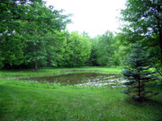 [Image: IMG-9838.jpg]