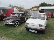 IMG-6513.jpg