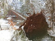 [Obrázky: IMG-20230121-125027.jpg]