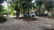 DSC01126