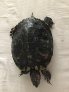 B82D920D-E7C7-406A-8CC6-D6738A460913