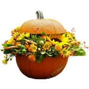 ISmell-Autumn-LL-Element62