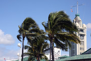 ALOHA Tower - Honolulu Seaport 28