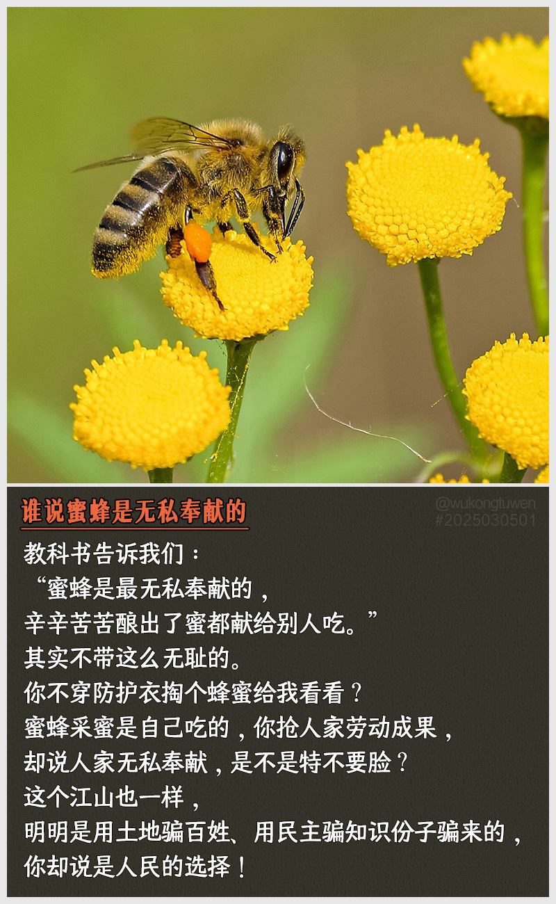 https://i.postimg.cc/Mw9d8ZkW/2025030501.jpg