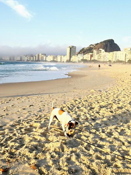 В джазе только девушки или аргентинско-бразильский калейдоскоп В джазе только девушки или аргентинско-бразильский калейдоскоп