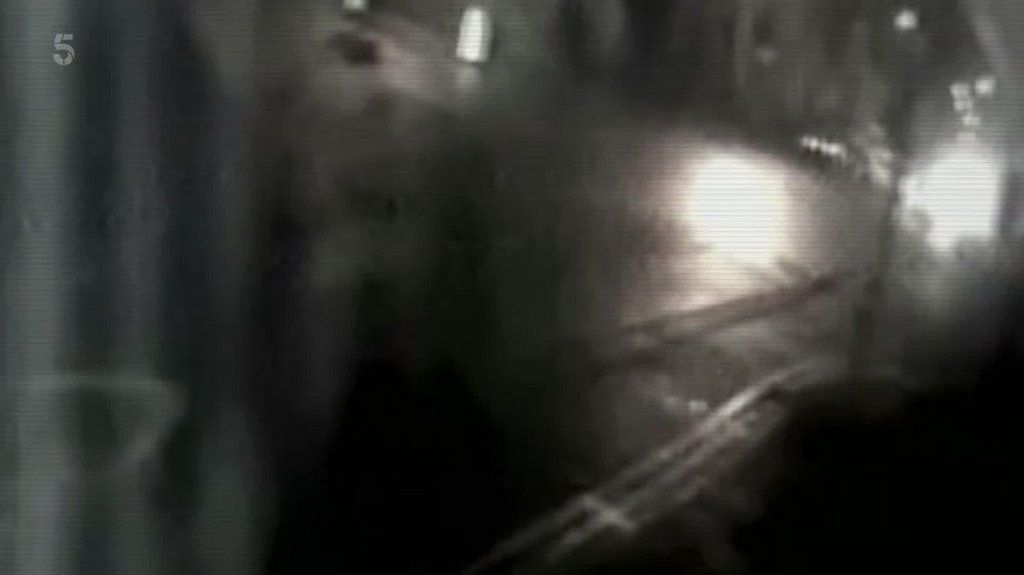 [Image: 48k5pgx2dljm.jpg]