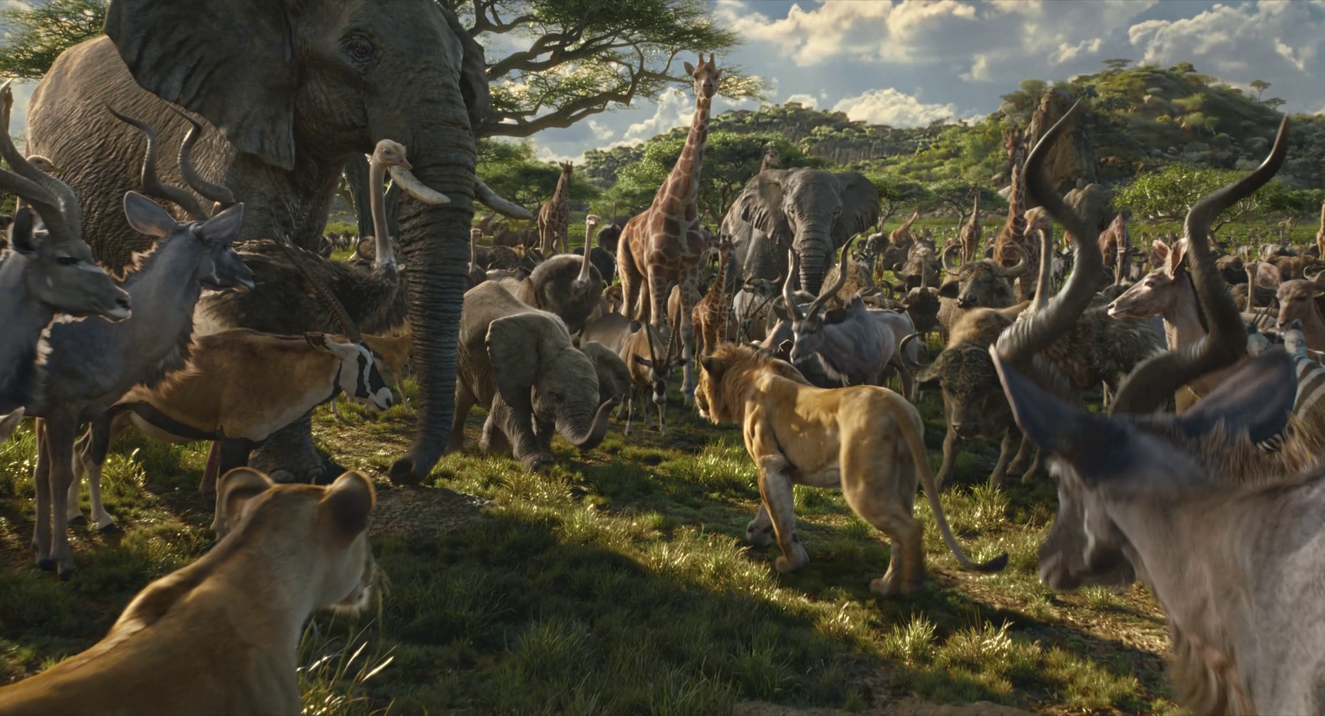 vlcsnap-2025-02-20-01h48m59s511 Mufasa: O Rei Leão (2024) PORTUGUESE 1080p WEBRiP DD 5 1 x264-OWN