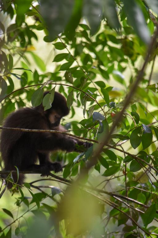 В джазе только девушки или аргентинско-бразильский калейдоскоп В джазе только девушки или аргентинско-бразильский калейдоскоп